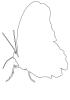 outline, line drawing, shape, OECV02P11_13O