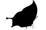 Butterfly silhouette, Wings, logo, shape, OECV02P11_19M