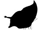 Butterfly silhouette, Wings, logo, shape, OECV02P12_02M