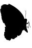 Butterfly silhouette, logo, shape, OECV02P14_02M