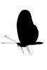 Butterfly silhouette, logo, shape, OECV02P14_03M