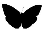 Butterfly silhouette, logo, shape, OECV02P14_09M