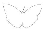 Butterfly outline, line drawing, shape, OECV02P14_09O