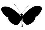 Butterfly silhouette, logo, shape, OECV02P14_11M