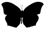 Butterfly silhouette, logo, shape, OECV02P14_12M