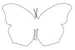  outline of a Butterfly, line drawing, shape