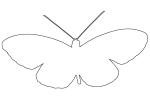 Butterfly outline, line drawing, shape, OECV02P14_15O