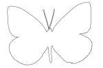 Butterfly outline, line drawing, shape, OECV02P15_16O