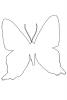 Metalmark Butterfly outline, (Ancyluris formosissimo), Riodinidae, Riodininae, Peru, line drawing, shape, OECV03P01_07O