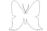 Metalmark Butterfly, (Ancyluris formoissma) outline, line drawing, shape