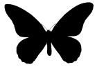 Butterfly silhouette, logo, shape, OECV03P04_07M