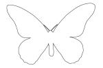Butterfly outline, line drawing, shape, OECV03P04_07O