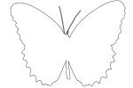Butterfly outline, line drawing, shape, OECV03P04_08O
