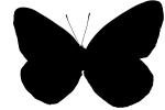 Butterfly silhouette, logo, shape, OECV03P04_09M