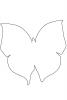 [Ithomyiidae] outline, Butterfly, Wings, line drawing, shape, OECV03P04_10O