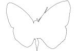 Butterfly outline, line drawing, shape, OECV03P04_13O