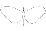 Butterfly outline, line drawing, shape, OECV03P04_18O