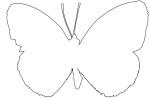 Butterfly outline, line drawing, shape, OECV03P04_19O