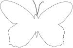 Butterfly outline, line drawing, shape, OECV03P05_01O