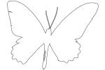 Butterfly outline, line drawing, shape, OECV03P05_02O