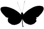 Butterfly silhouette, logo, shape, OECV03P05_03M