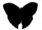 Butterfly silhouette, logo, shape, OECV03P05_04M
