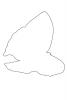Butterfly outline, line drawing, shape, OECV03P05_07O