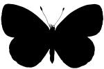 Butterfly silhouette, logo, shape, OECV03P05_08M