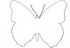 Common Buckeye outline, Butterfly, Wings, line drawing, shape, (Junonia coenia), Nymphalidae, OECV03P05_11O