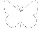 Alfalfa Sulfer outline, (Colias eurytheme), Butterfly, line drawing, shape, OECV03P05_13O