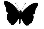 Gulf Fritillary silhouette, logo, shape, Gulf Fritillary, (Agraulis vanillae), Nymphalidae, Wings, OECV03P05_17M