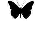 Gulf Fritillary silhouette, logo, shape, (Agraulis vanillae), Nymphalidae, Wings, OECV03P05_19M