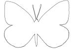 Cabbage Butterfly outline, line drawing, shape, (Pieris rapae), Pieridae