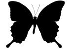 Butterfly silhouette, logo, shape, OECV03P06_05M