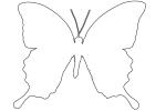 Butterfly outline, line drawing, shape, OECV03P06_05O