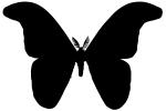 Atlas Moth logo, (Attacus atlas), Saturniidae, OECV03P06_07M