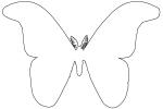 Atlas Moth outline, line drawing, shape, (Attacus atlas), Saturniidae, OECV03P06_07O
