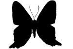 Metalmark Butterfly silhouette, logo, shape, OECV03P06_11M