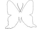 Outline Metalmark Butterfly, line drawing, shape