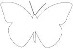 Orange-tip Butterfly, (Anthocharis cardamines), Pieridae, Pierinae, Philippines, Rhopalocera, line drawing, shape, Rhopalocera, OECV03P06_12O
