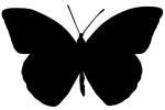 Orange-tip Butterfly silhouette, Anthocharis cardamines, Pieridae, Philippines, logo, shape, OECV03P06_14M