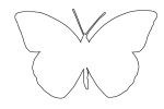 Outline of a Butterfly, line drawing, shape