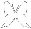 Butterfly outline, line drawing, shape, OECV03P06_17O