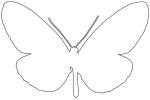 Butterfly outline, line drawing, shape, OECV03P06_18O