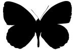 Butterfly silhouette, logo, shape, OECV03P07_02M