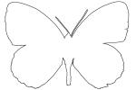 Butterfly outline, line drawing, shape, OECV03P07_02O