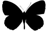 Butterfly silhouette, logo, shape, OECV03P07_03M