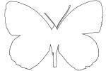 Butterfly outline, line drawing, shape, OECV03P07_03O