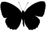 Butterfly silhouette, logo, shape, OECV03P07_04M