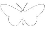 Butterfly outline, line drawing, shape, OECV03P07_05O